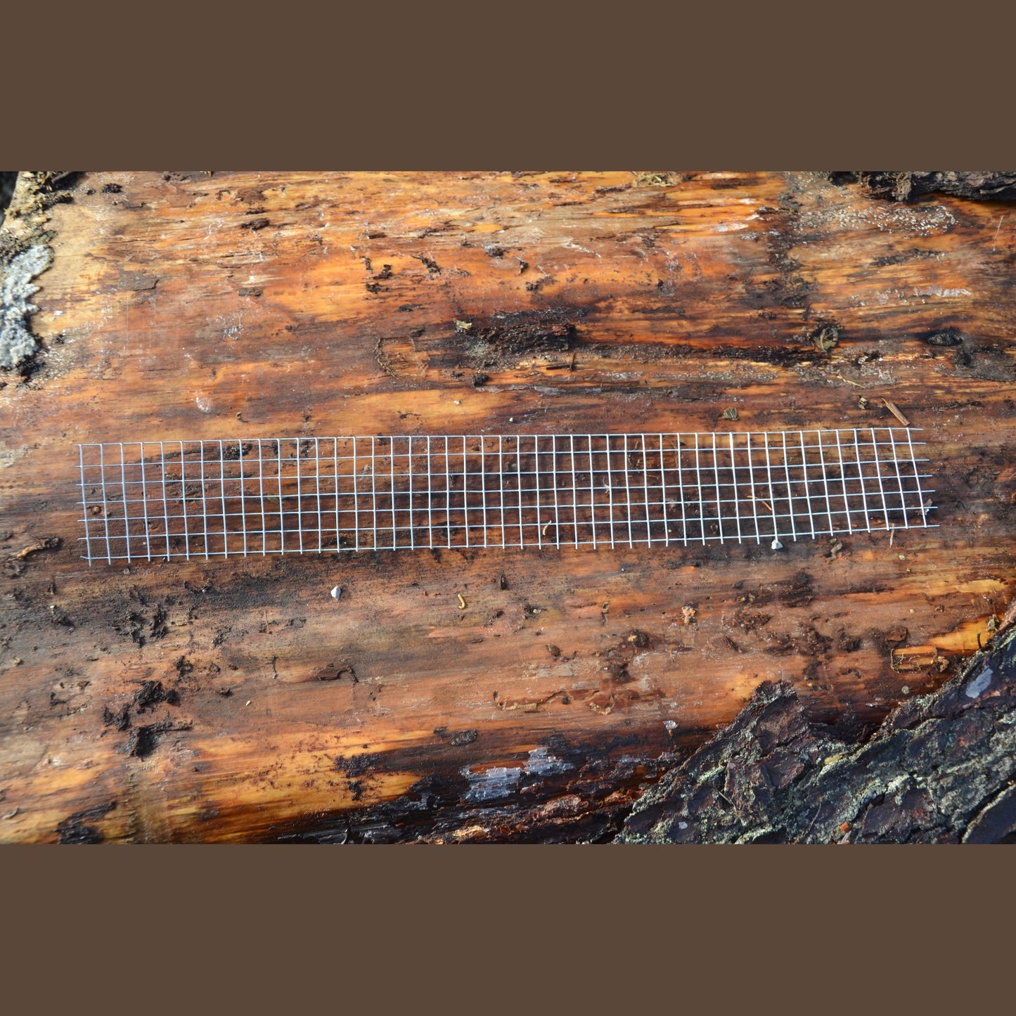 Mäusegitter für Bienenkiste