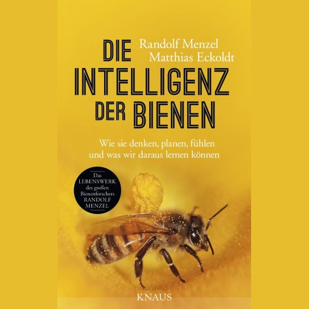 Die Intelligenz der Bienen