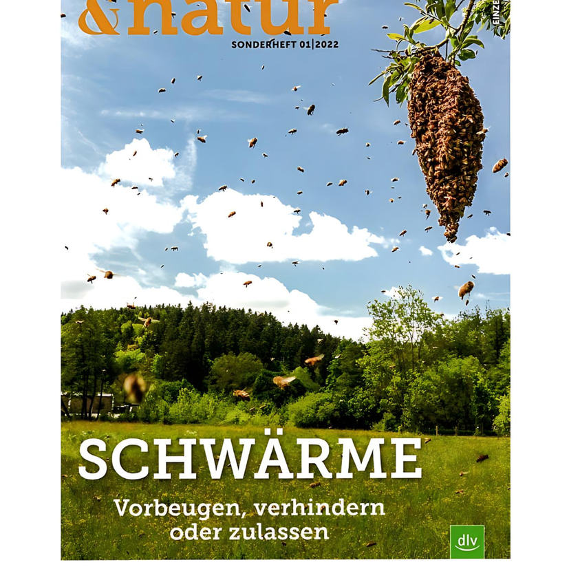 bienen&natur Sonderheft »Schwärme«