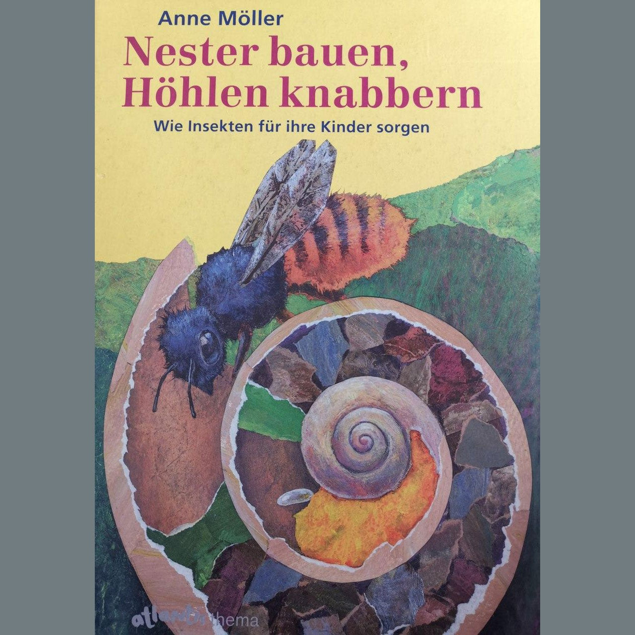 Nester bauen, Höhlen knabbern