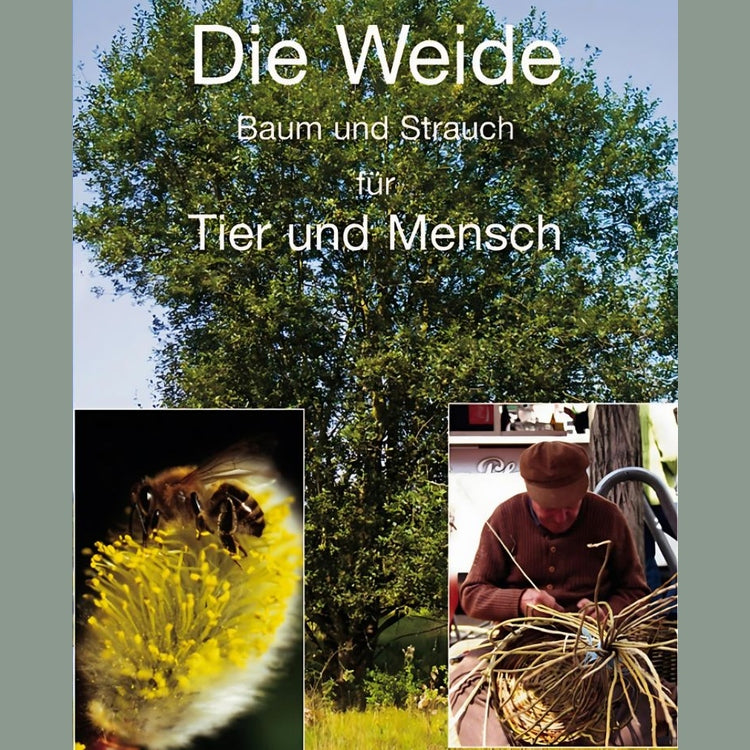 Die Weide – Baum und Strauch für Tier und Mensch