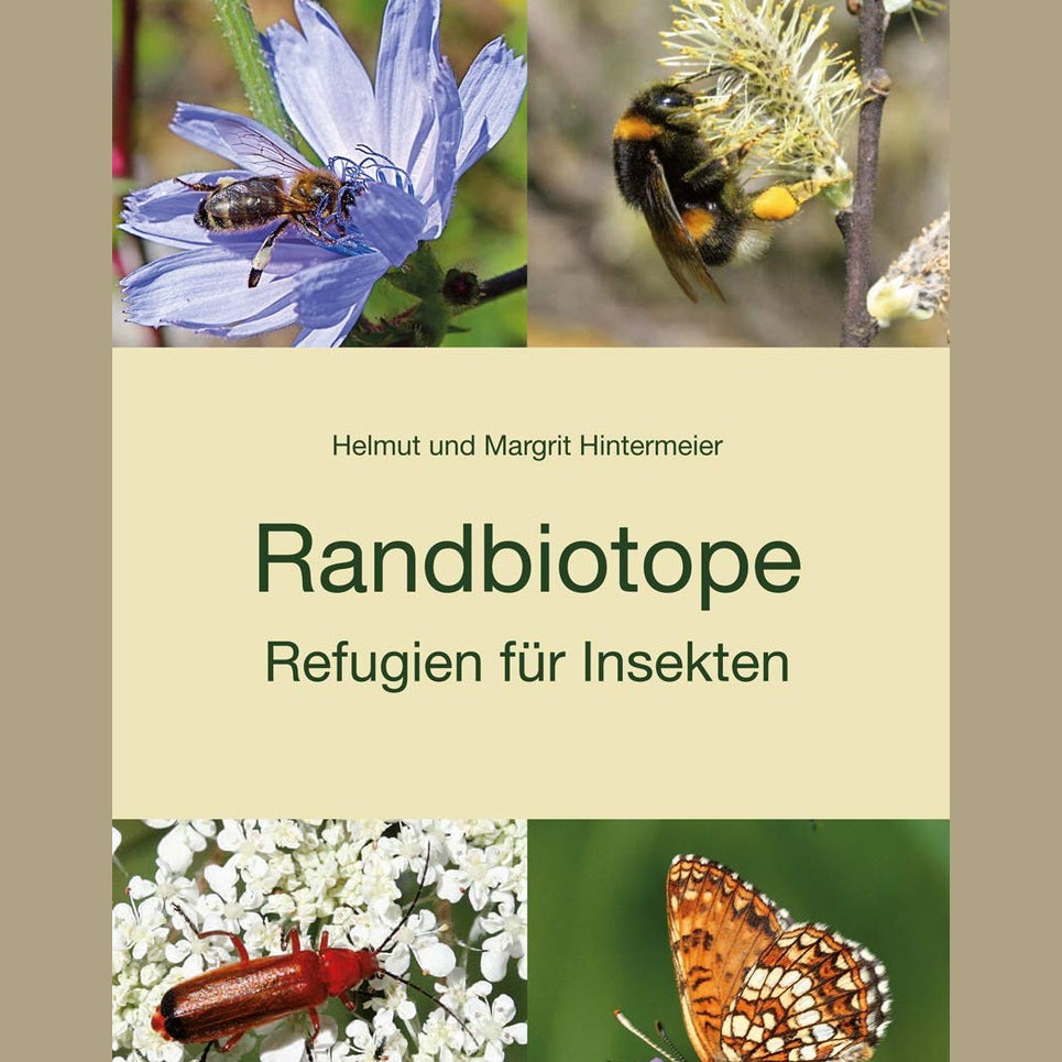 Randbiotope - Refugien für Insekten