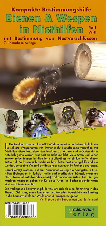 Bienen & Wespen in Nisthilfen