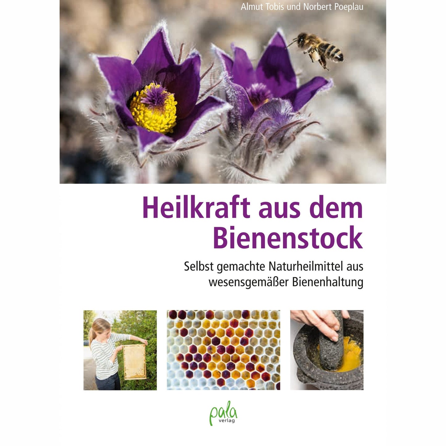 Heilkraft aus dem Bienenstock