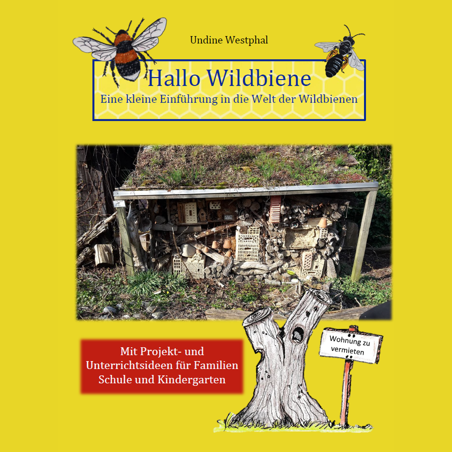 Hallo Wildbiene