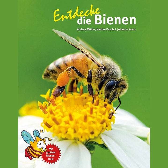 Entdecke die Bienen