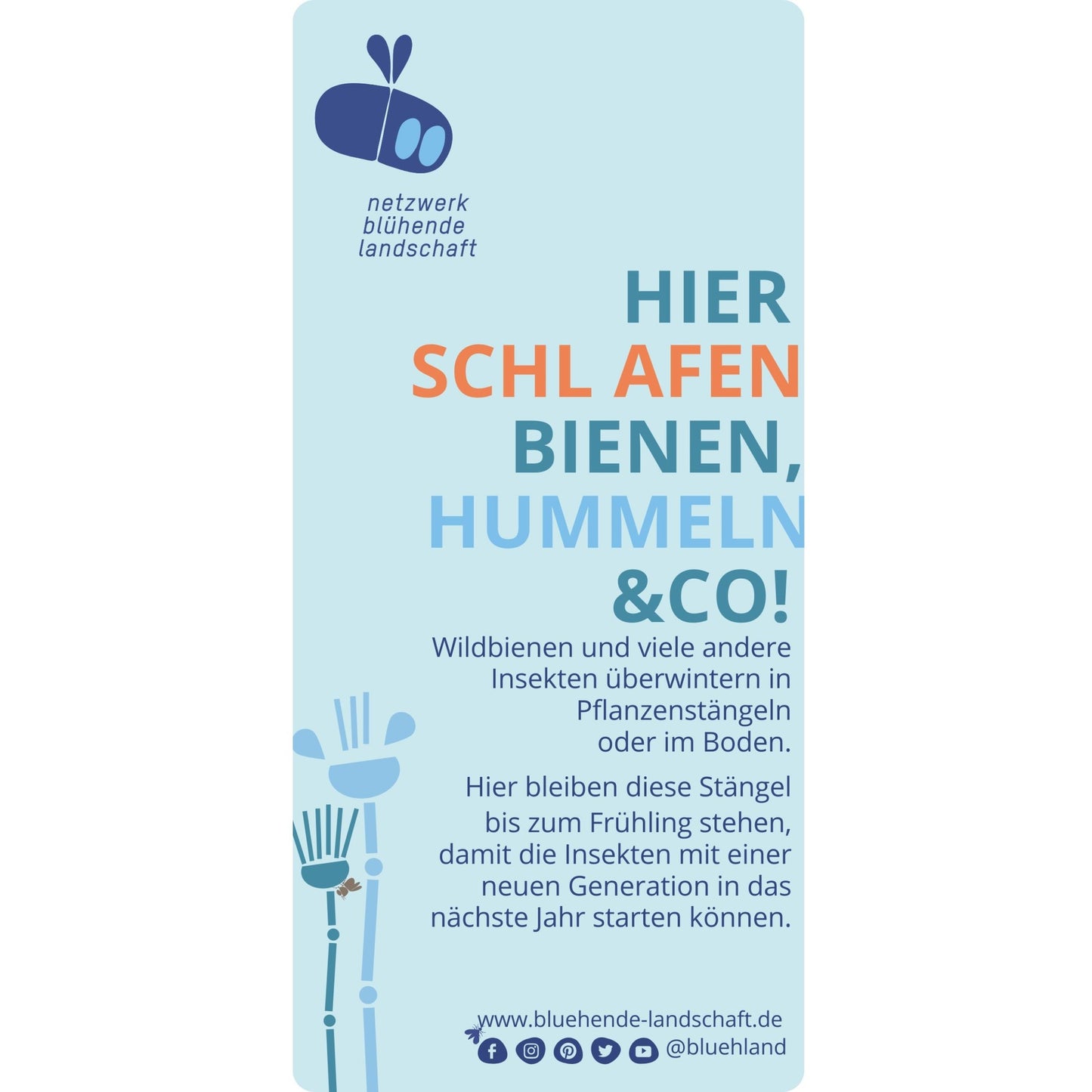 Garten- und Feldschild „Blühende Landschaft“: WINTER, 16 x 34 cm