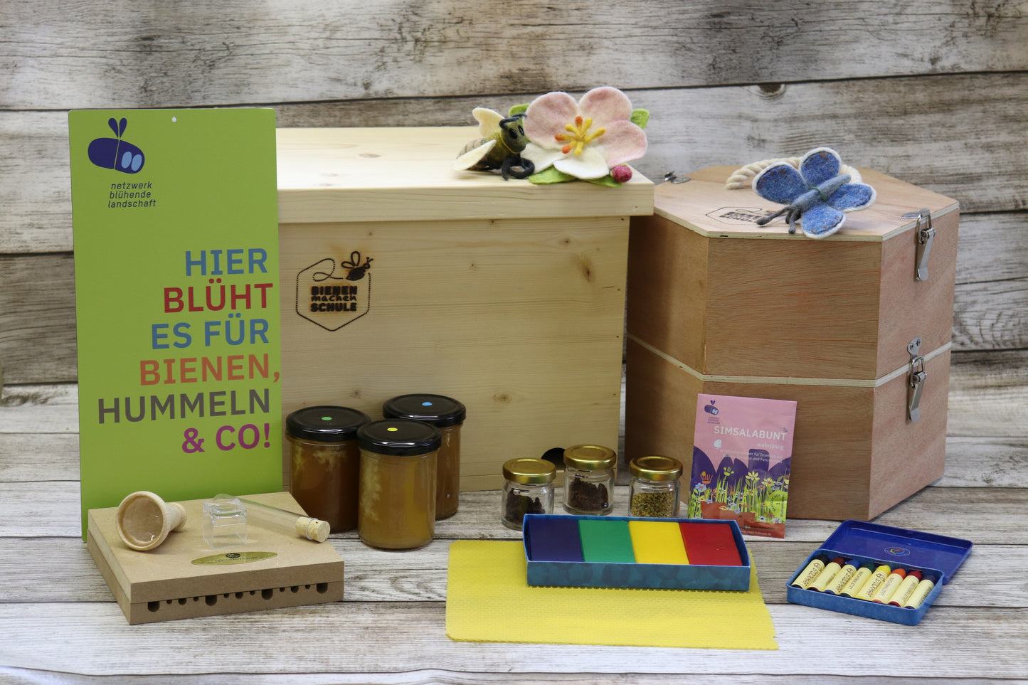 Erlebnis Bienenwunder Grundschule