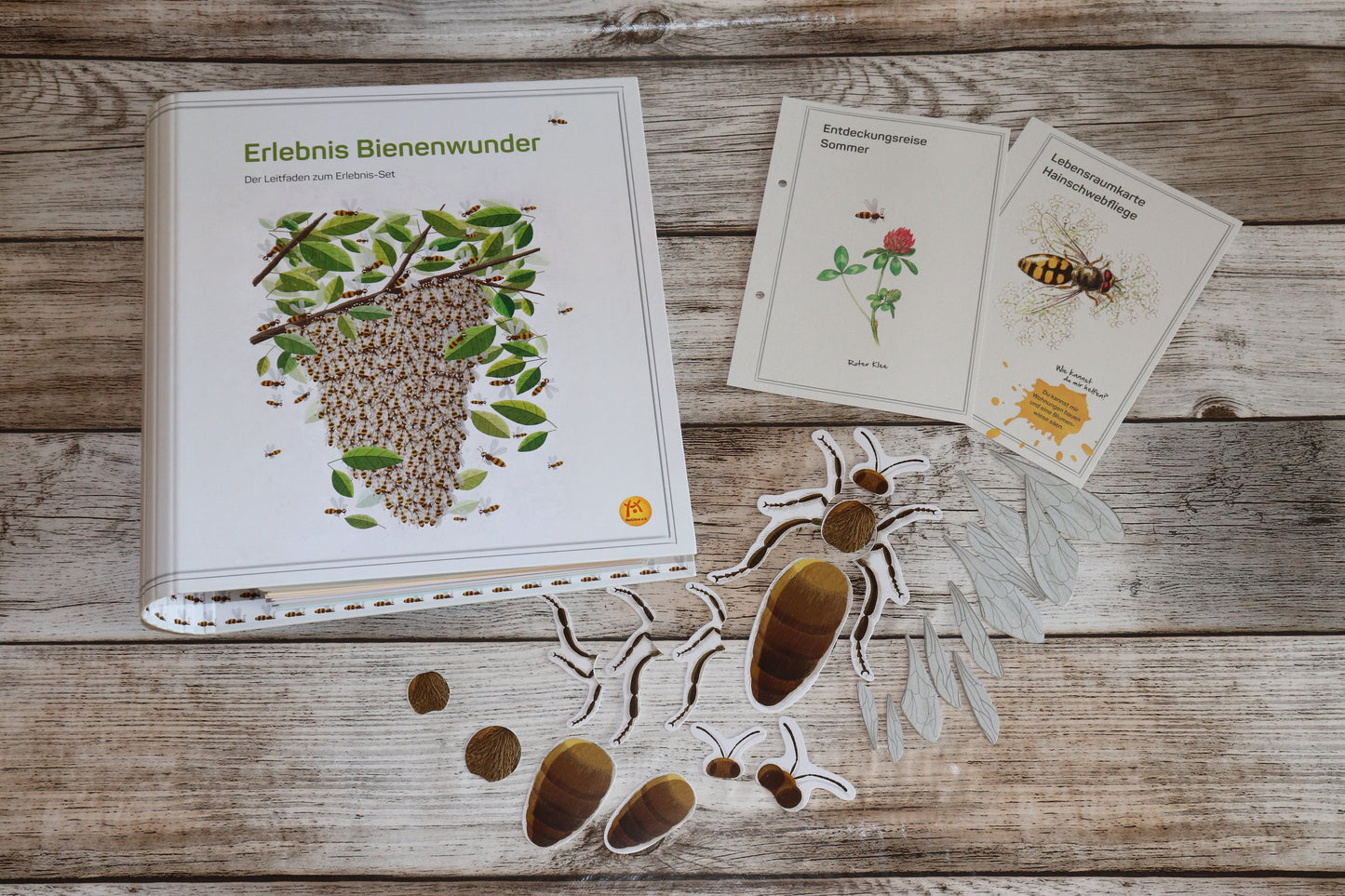 Erlebnis Bienenwunder Grundschule