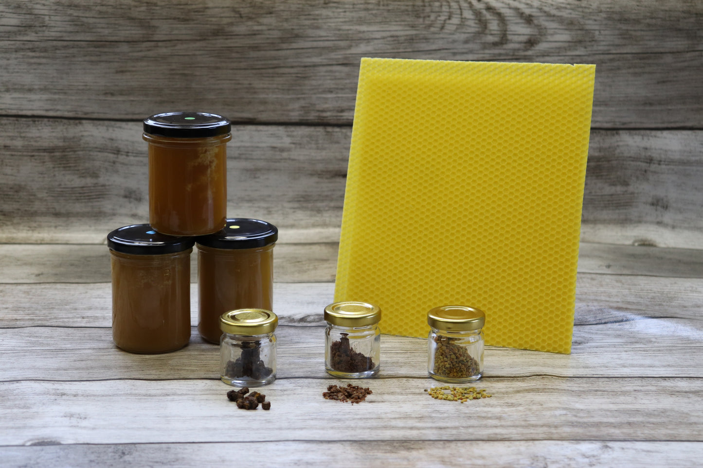 Erlebnis Bienenwunder Grundschule