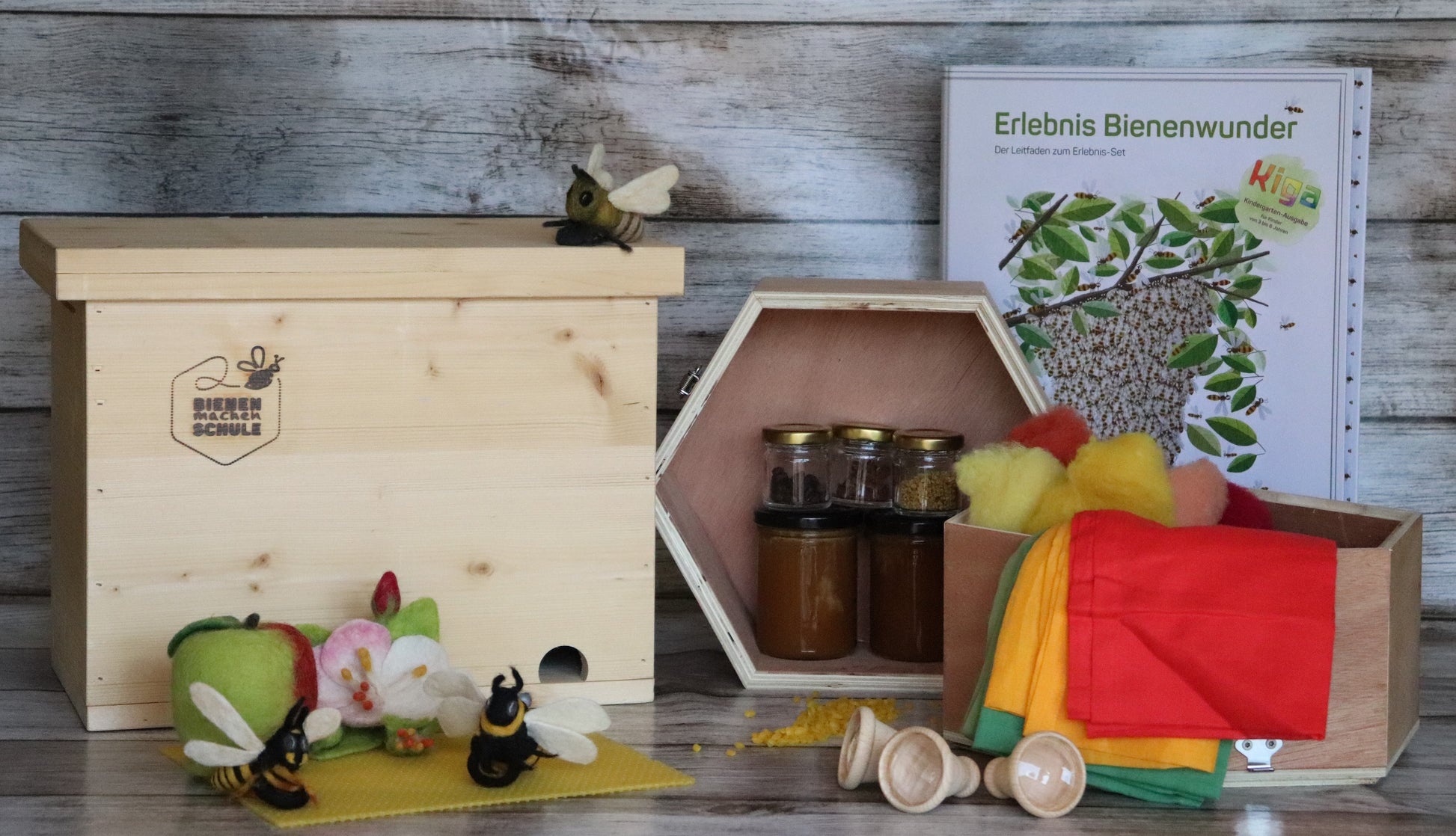 Erlebnis Bienenwunder Kindergarten