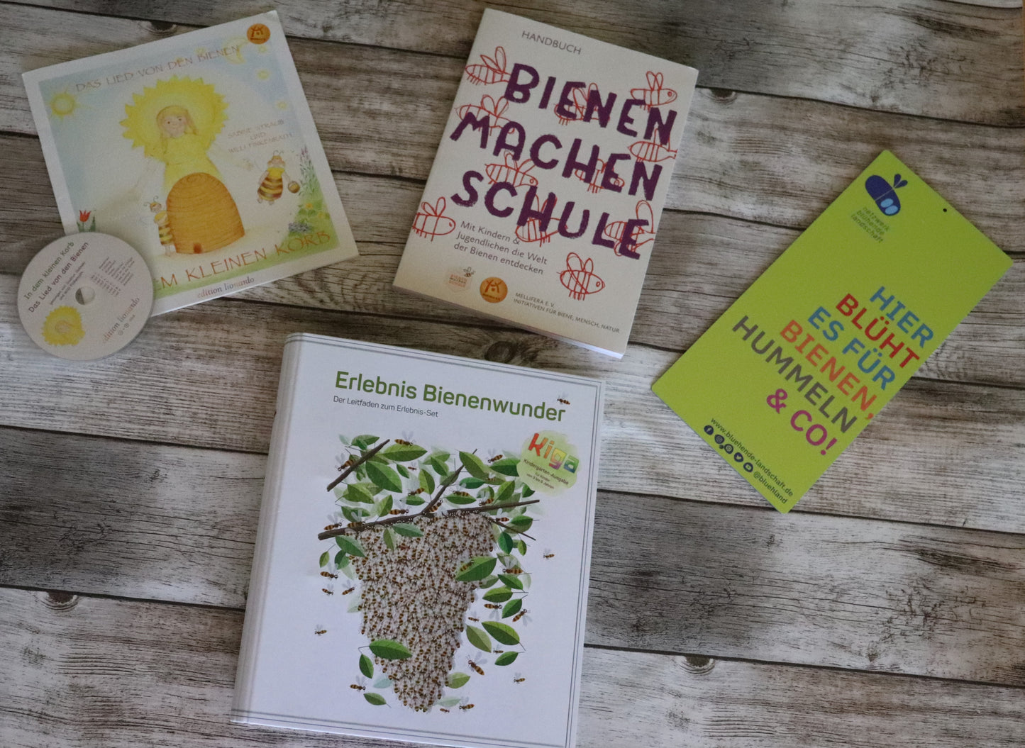 Erlebnis Bienenwunder Kindergarten