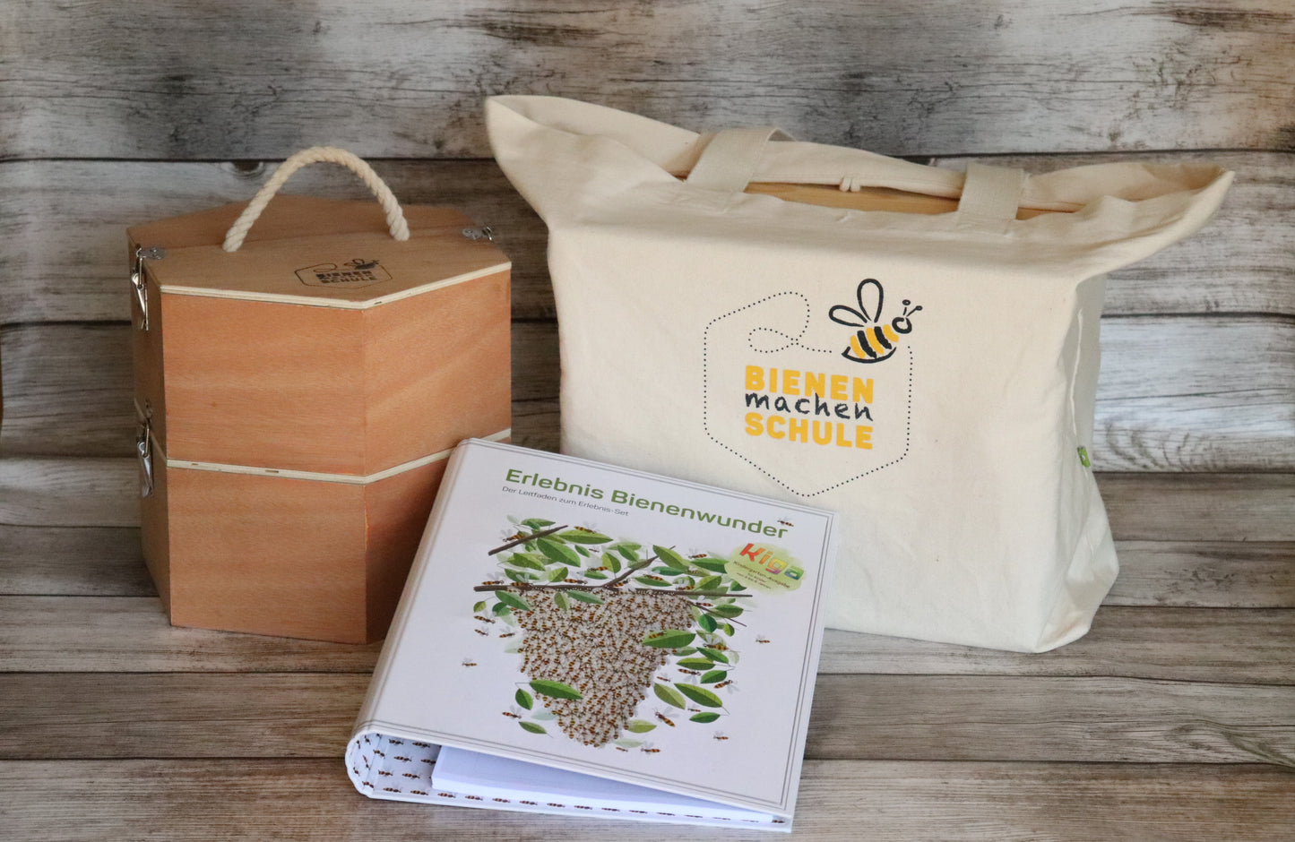 Erlebnis Bienenwunder Kindergarten