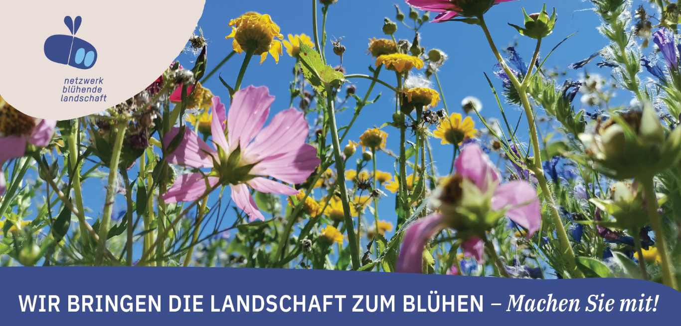 Flyer Initiative Netzwerk Blühende Landschaft