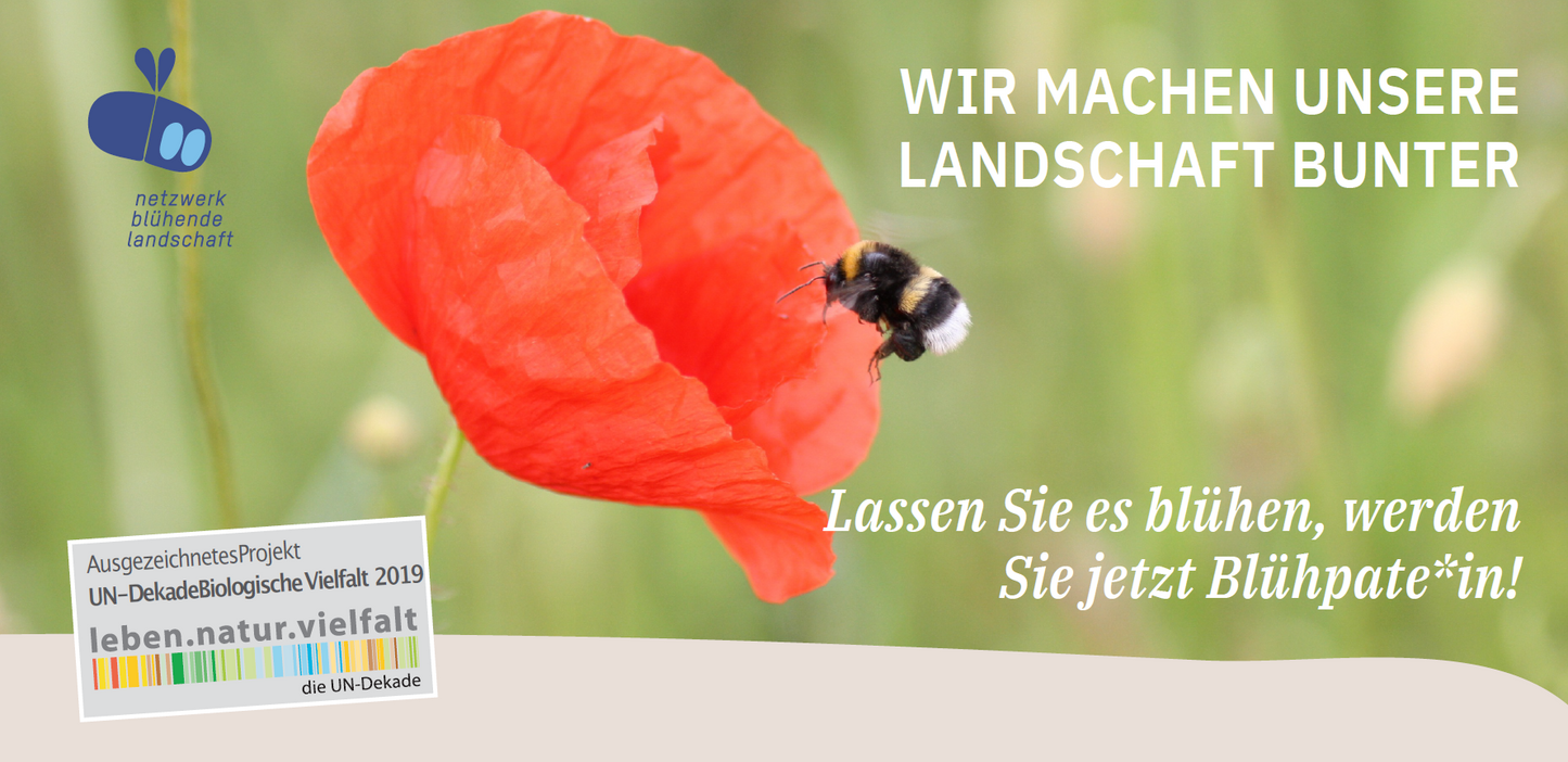Flyer Aktion "Blühpate werden"