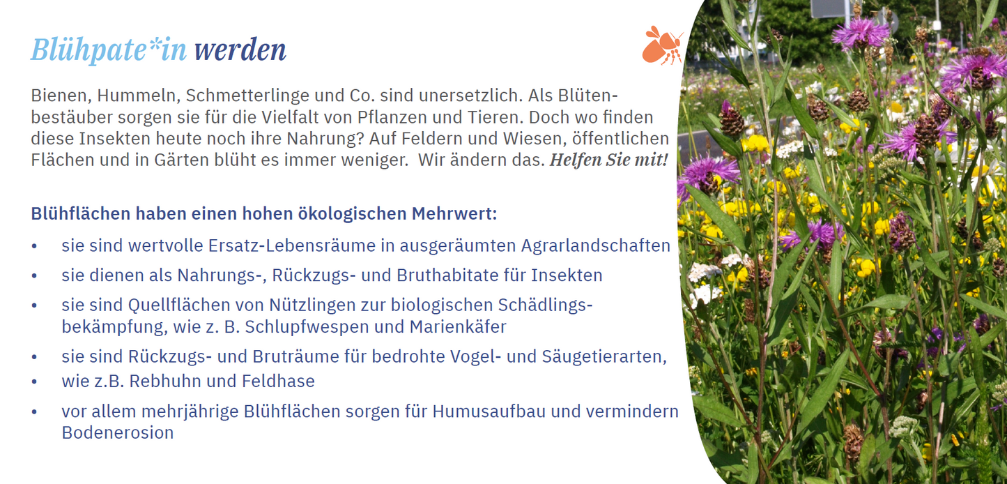 Flyer Aktion "Blühpate werden"