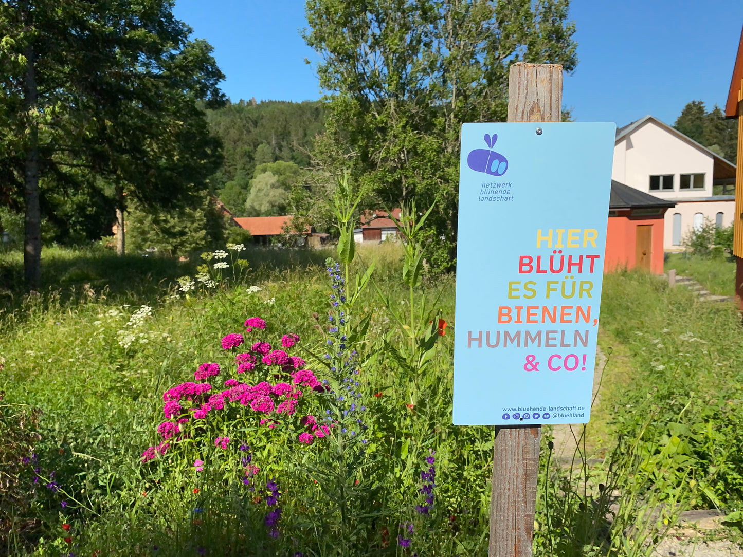 Garten- und Feldschild „Blühende Landschaft“: blau, 16 x 34 cm