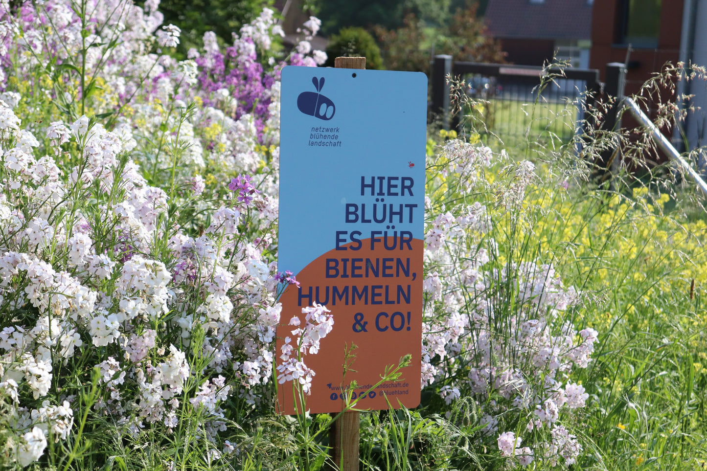 Garten- und Feldschild „Blühende Landschaft“: blau-orange, 31 x 65 cm