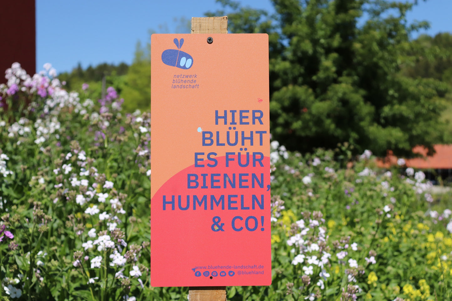 Garten- und Feldschild „Blühende Landschaft“: orange-rot, 31 x 65 cm