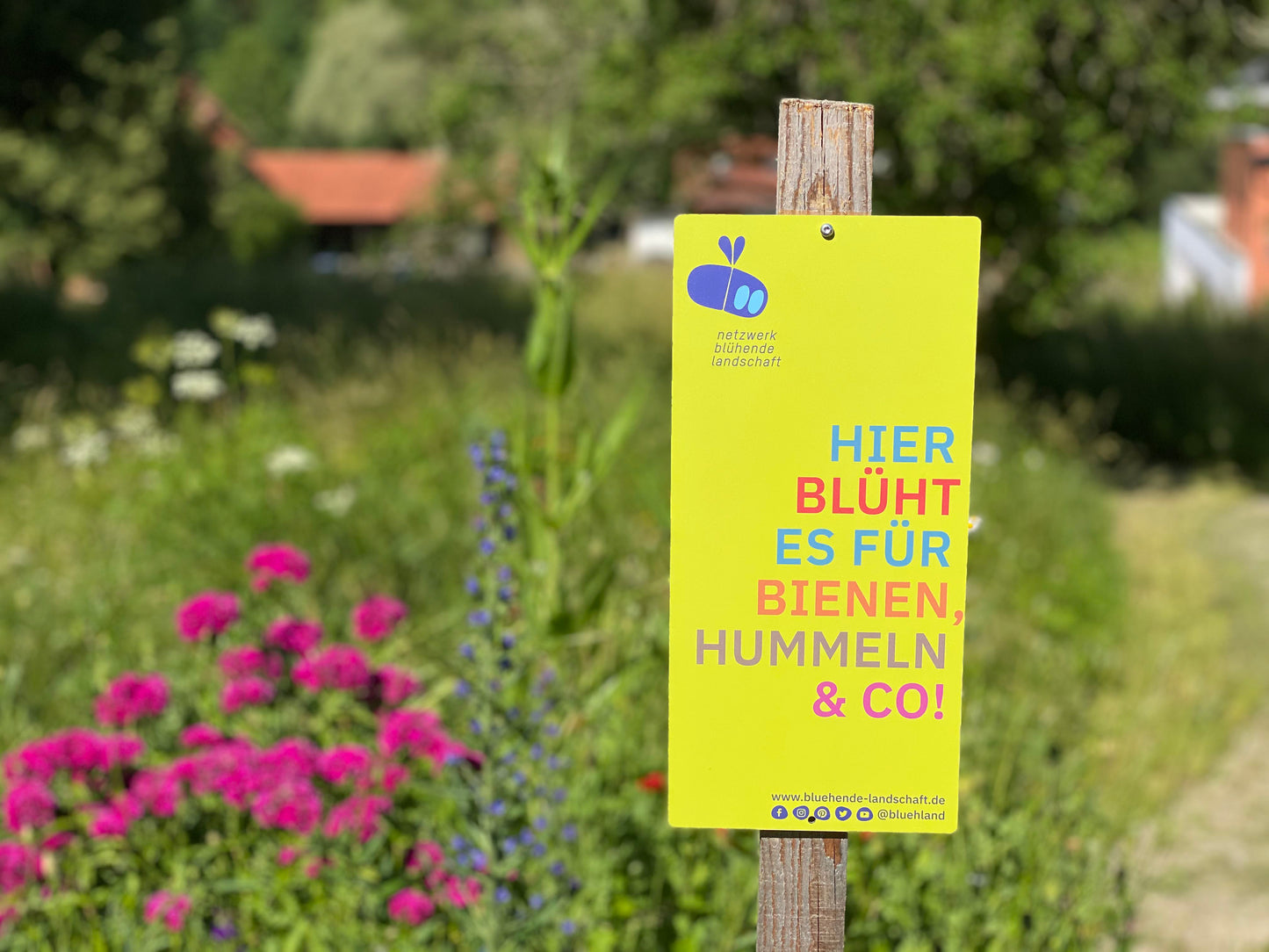 Garten- und Feldschild »Blühende Landschaft« : grün, 16 x 34 cm