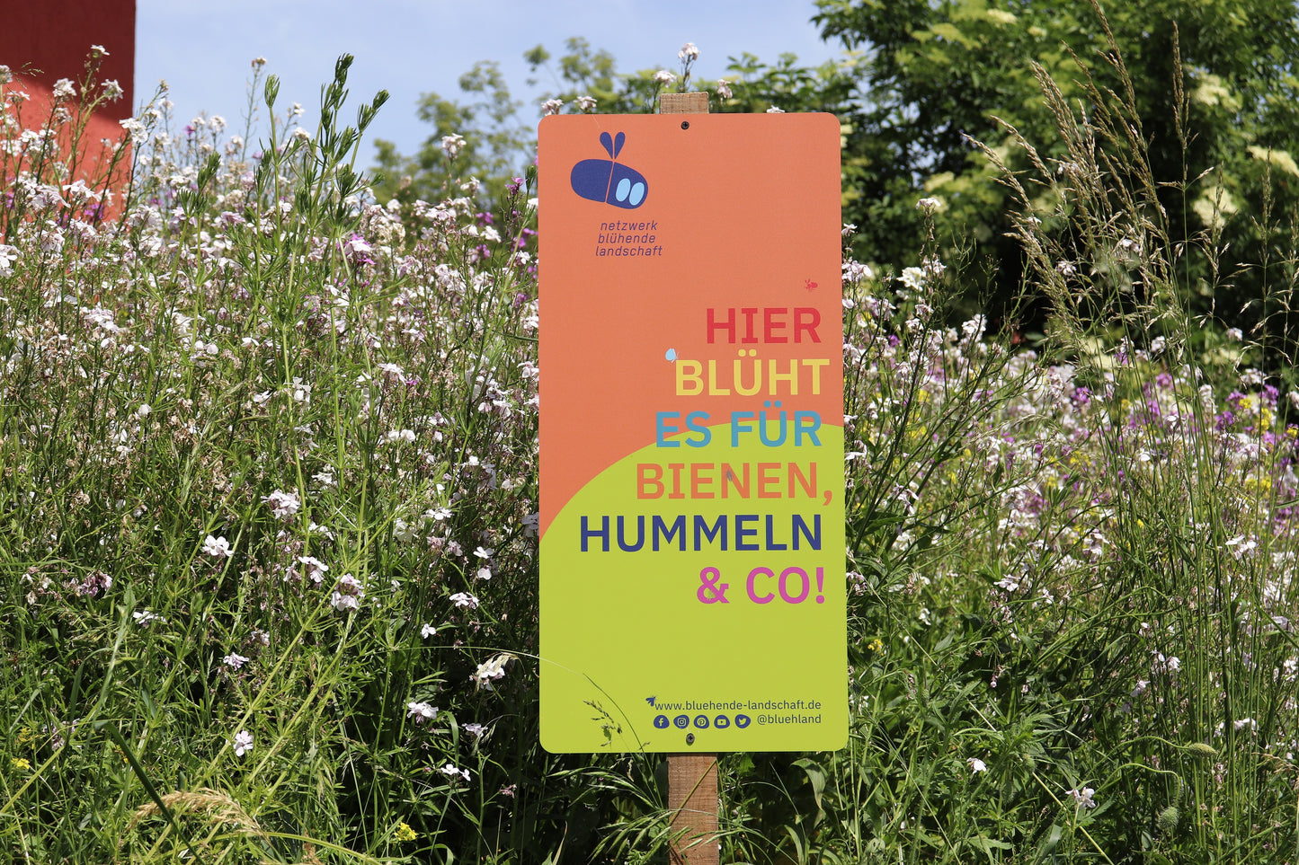 Garten- und Feldschild „Blühende Landschaft“: orange-grün, 31 x 65 cm