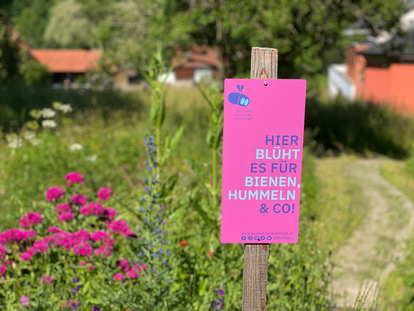 Garten- und Feldschild „Blühende Landschaft“: pink, 16 x 34 cm