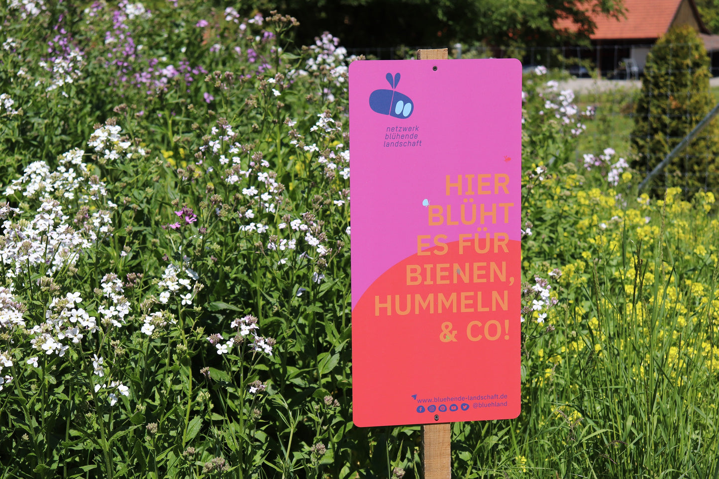 Garten- und Feldschild „Blühende Landschaft“: pink-rot, 31 x 65 cm