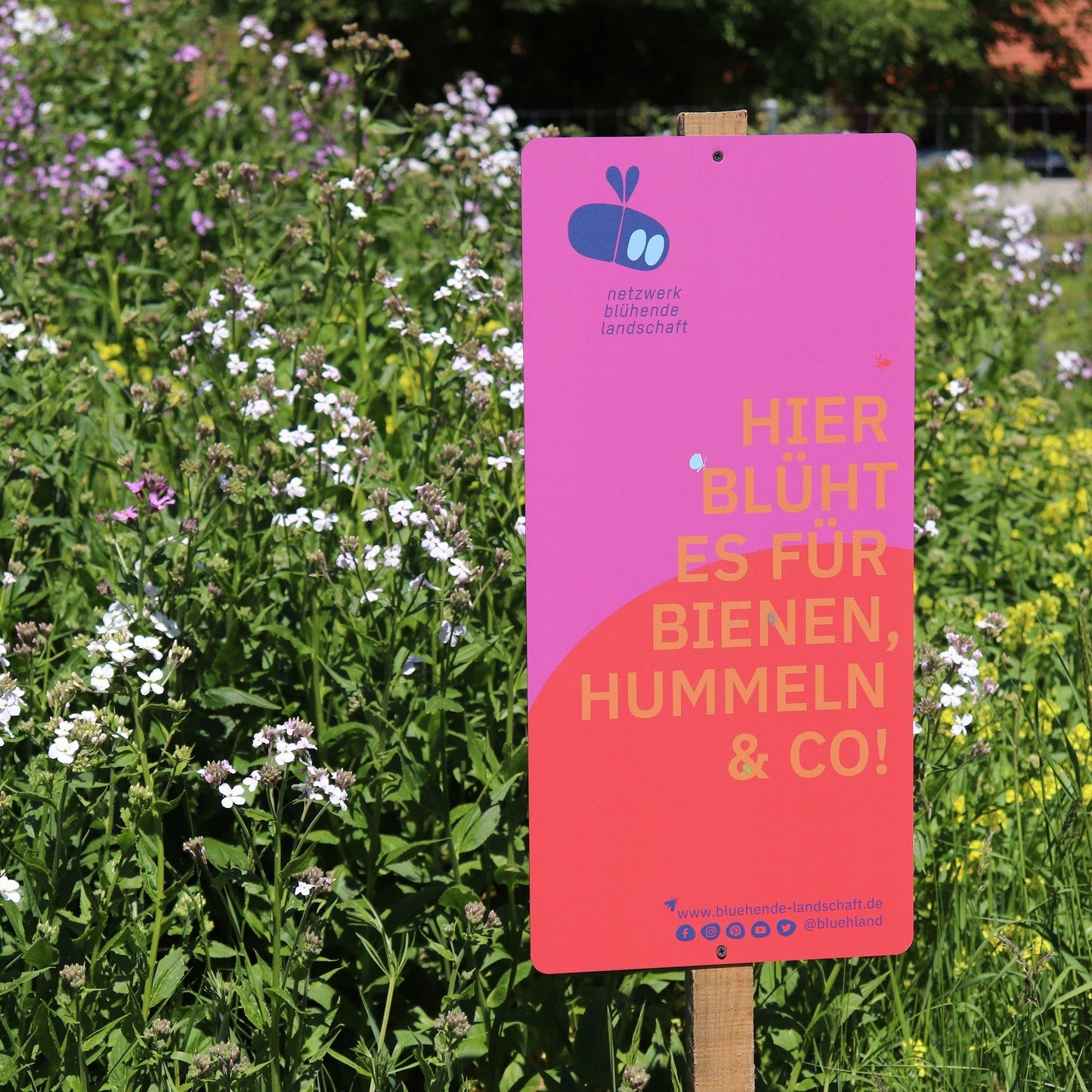 Garten- und Feldschild „Blühende Landschaft“: pink-rot, 31 x 65 cm