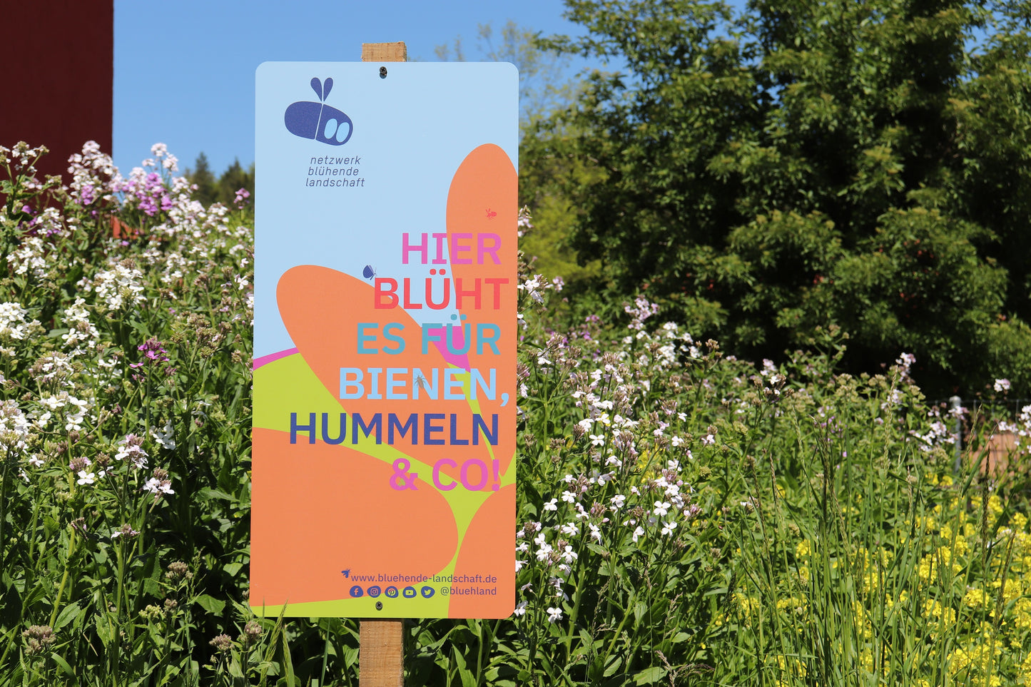 Garten- und Feldschild „Blühende Landschaft“: blau mit Blume, 31 x 65 cm