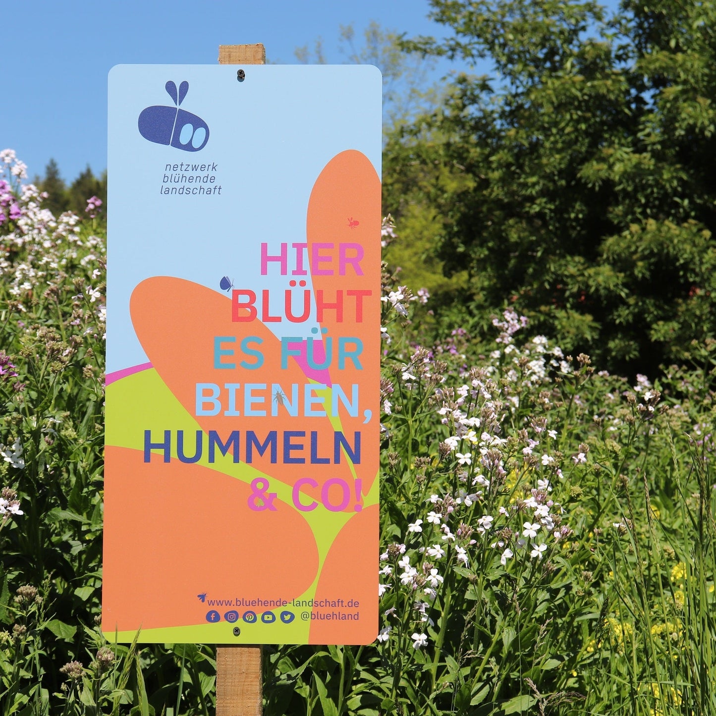 Garten- und Feldschild „Blühende Landschaft“: blau mit Blume, 31 x 65 cm