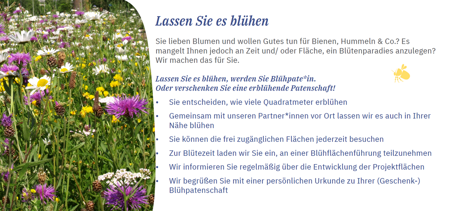 Flyer Aktion "Blühpate werden"