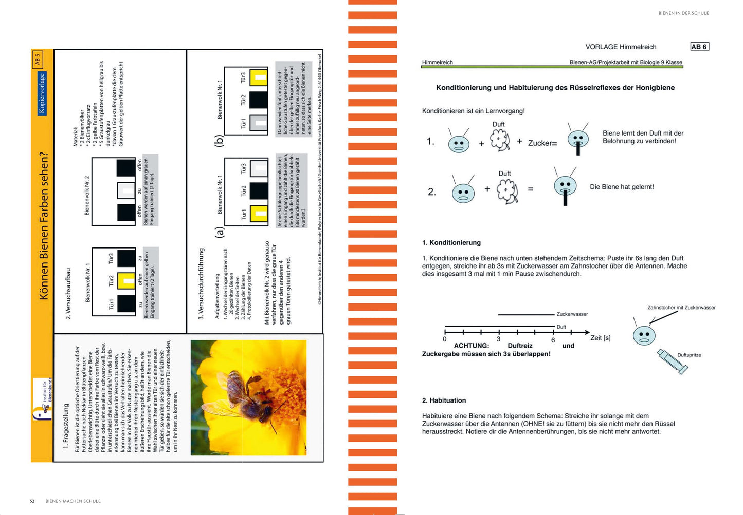 Handbuch "Bienen machen Schule"