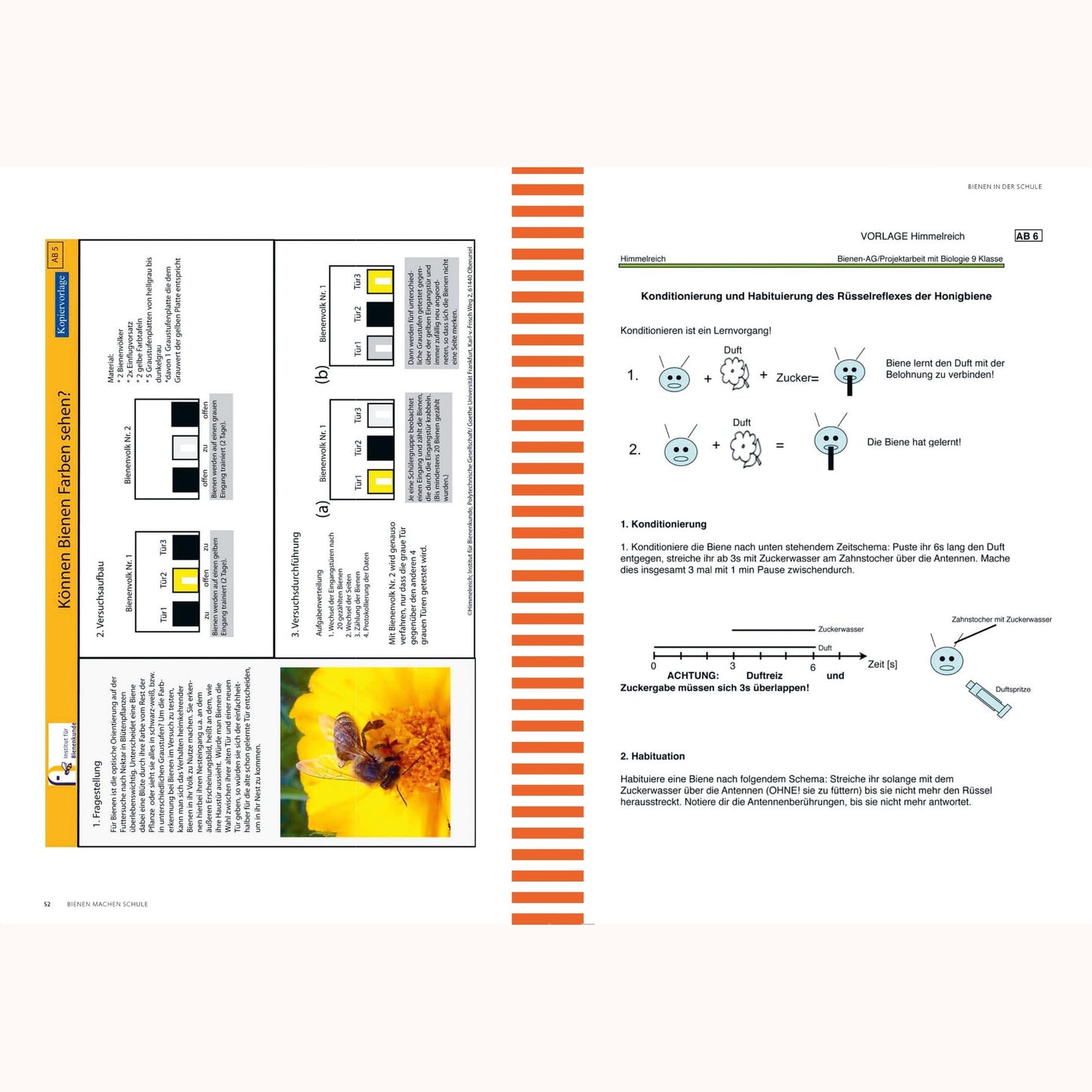 Handbuch "Bienen machen Schule"
