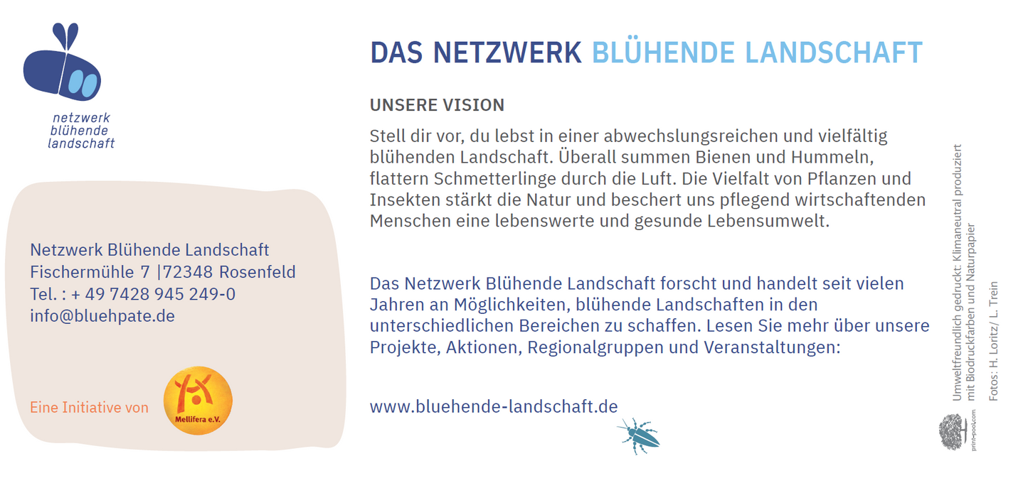Flyer Aktion "Blühpate werden"
