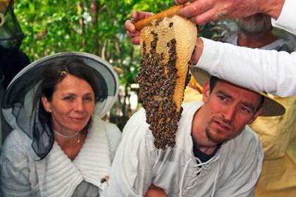 Teilnahmegebühr zum Imkerkurs "Mit den Bienen durchs Jahr" (Berlin)