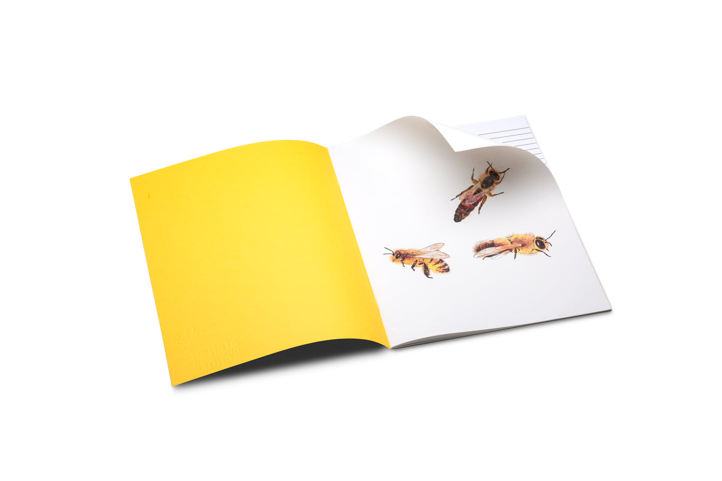 Bienenheft