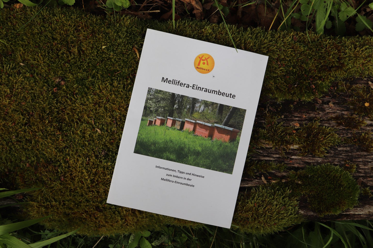 Mellifera-Einraumbeute