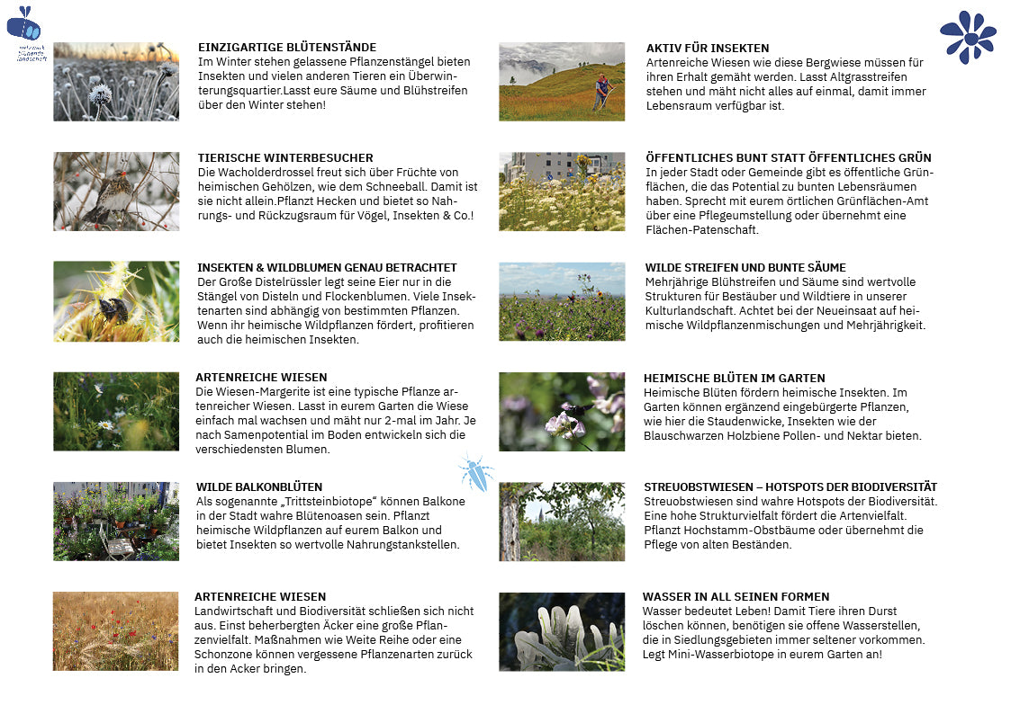 Kalender "Faszination blühende Landschaft"