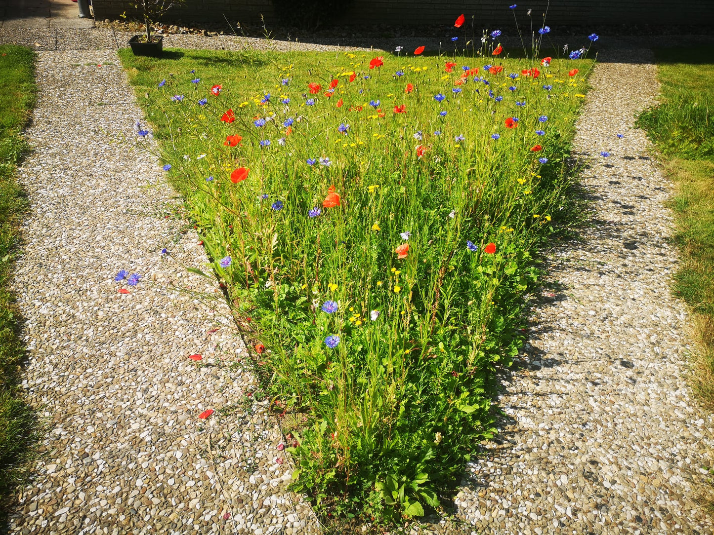 Garten Summerland