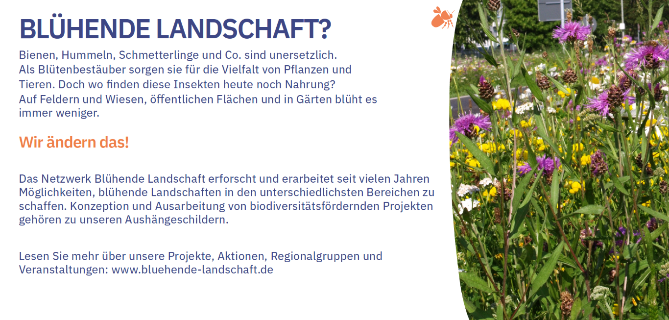 Flyer Initiative Netzwerk Blühende Landschaft