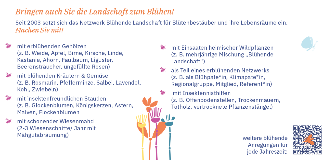 Flyer Initiative Netzwerk Blühende Landschaft