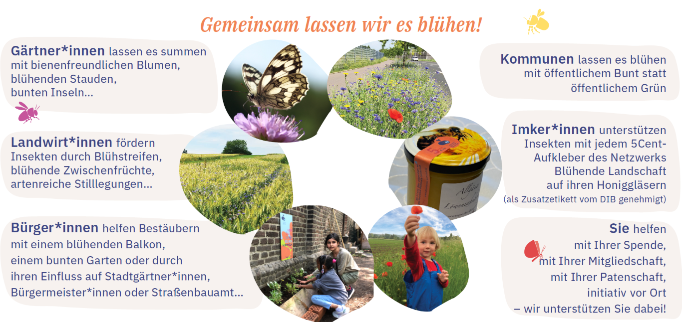 Flyer Initiative Netzwerk Blühende Landschaft
