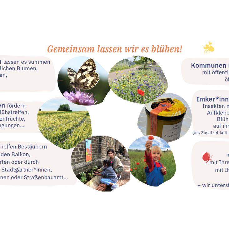 Flyer Initiative Netzwerk Blühende Landschaft