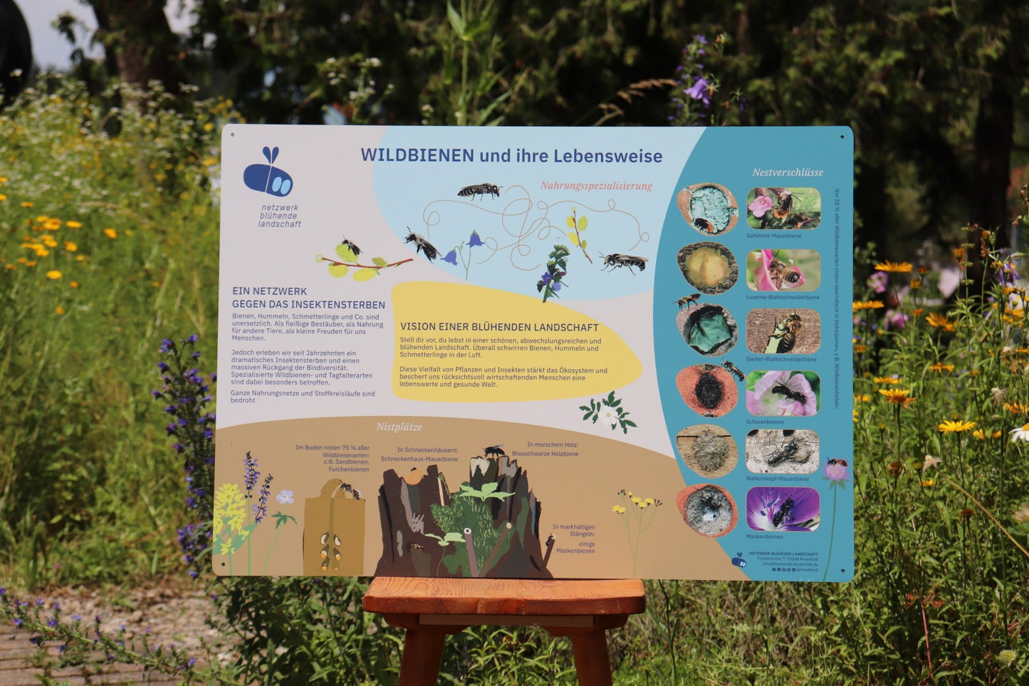 Infotafel "Wildbienen und ihre Lebensweise"