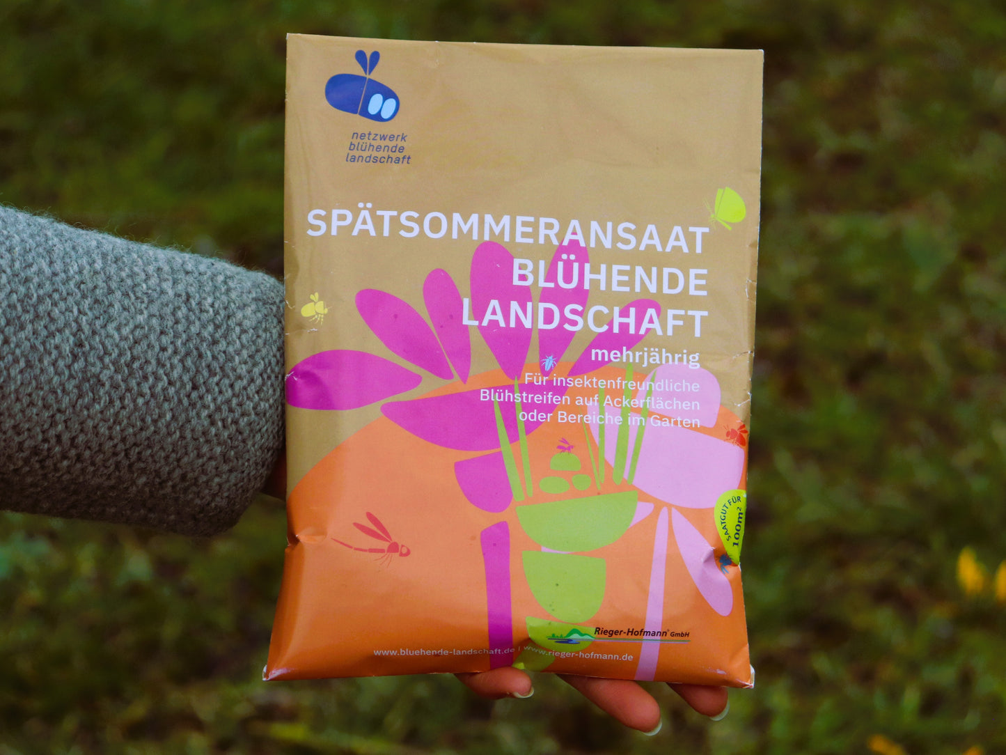 Spätsommeransaat »Blühende Landschaft«, 100 m²