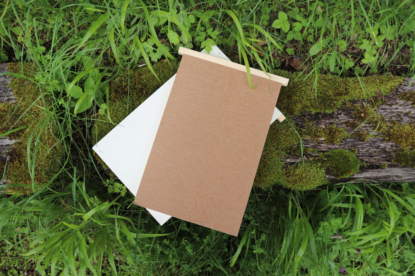 Mellifera-Einraumbeute