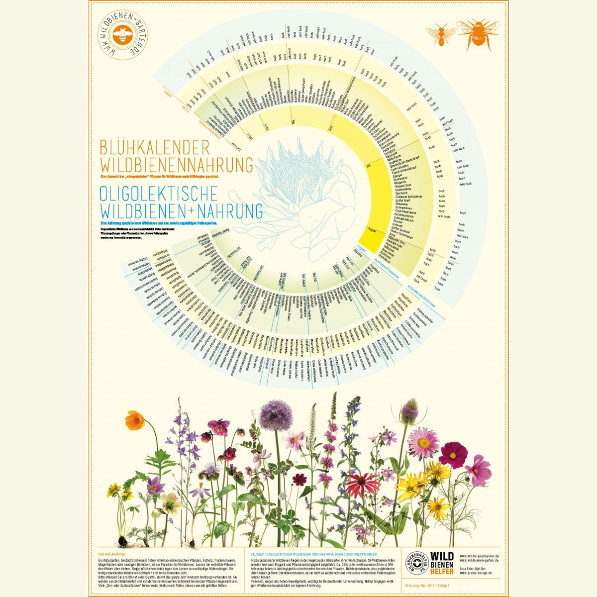 Plakat "Blühkalender"