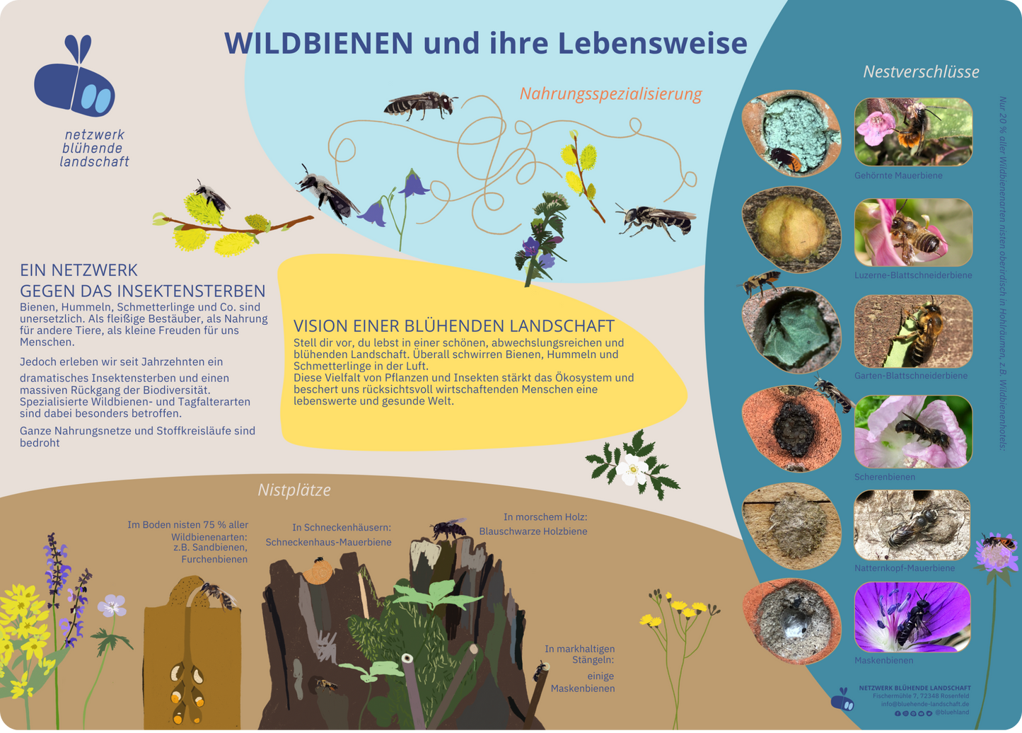 Infotafel "Wildbienen und ihre Lebensweise"