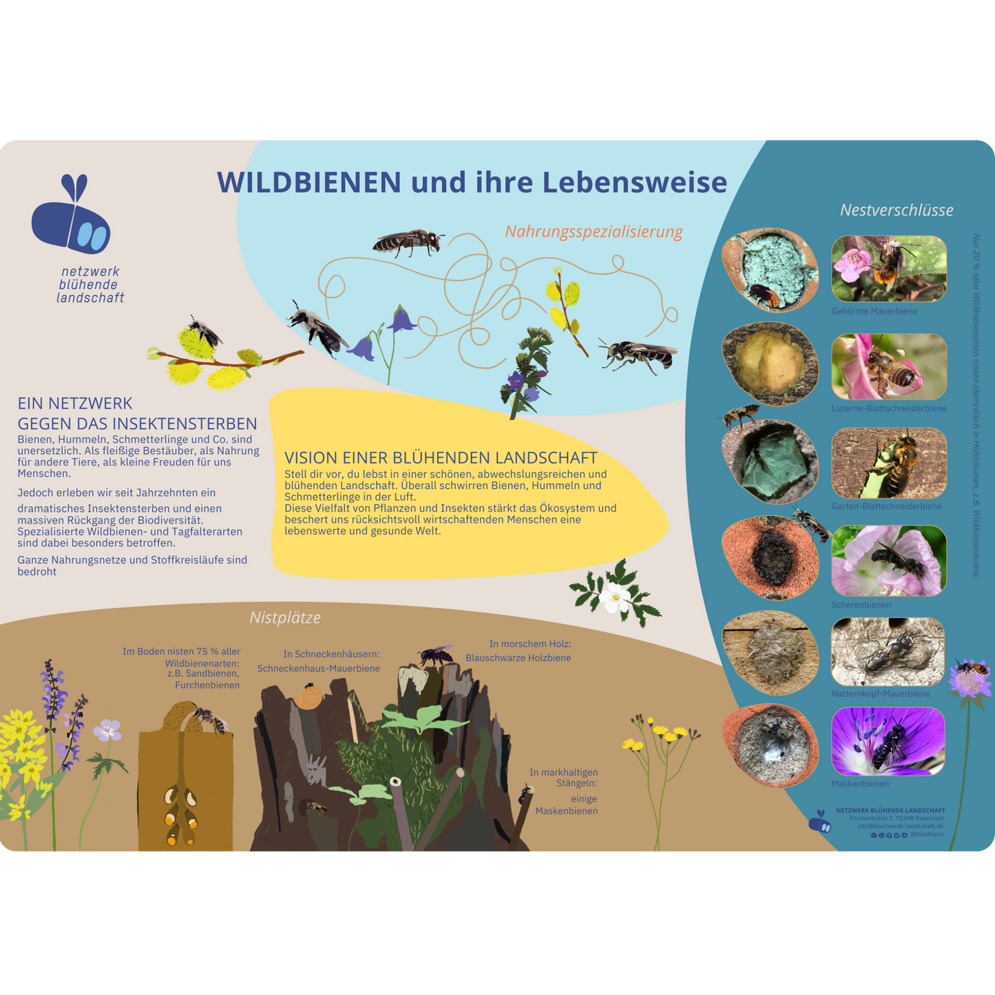 Infotafel "Wildbienen und ihre Lebensweise"