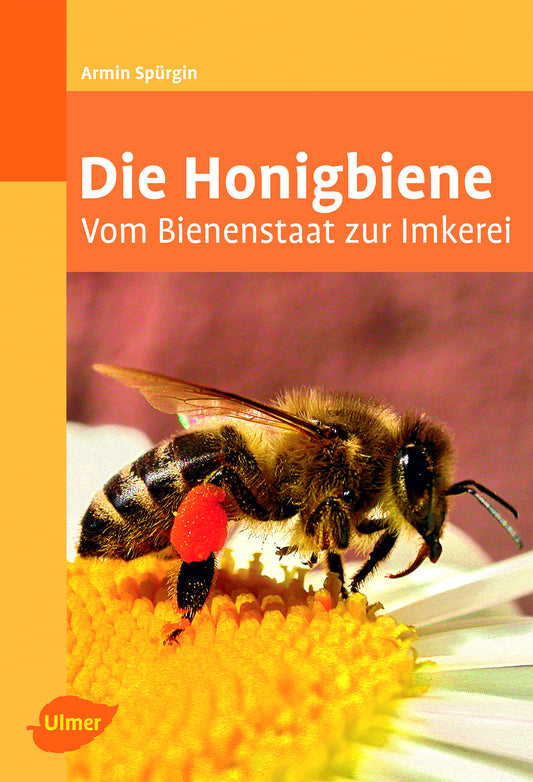 Die Honigbiene: Vom Bienenstaat zur Imkerei